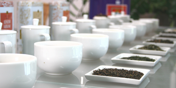 如何判斷茶葉品質的好壞? 只需4個輕鬆步驟!