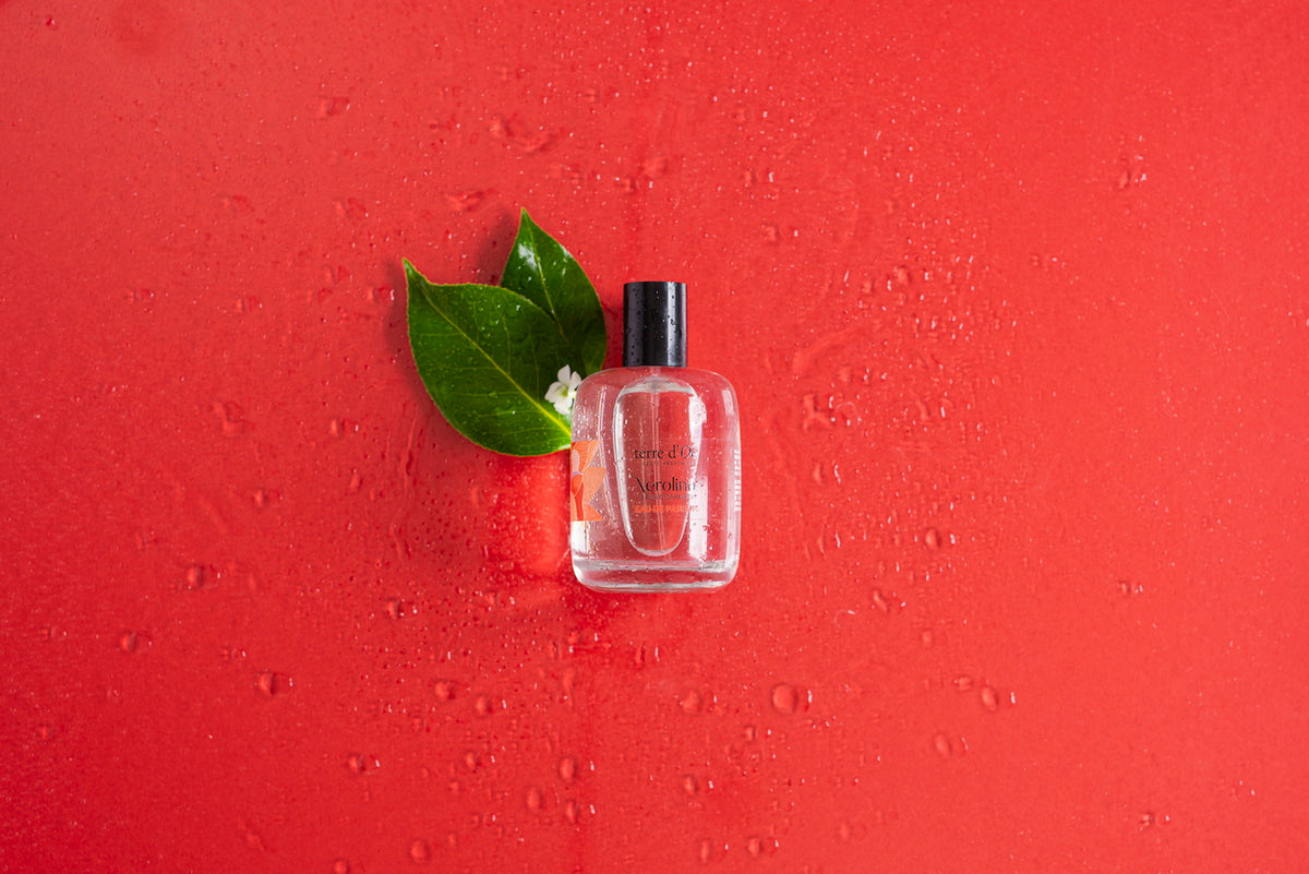 Orange Blossom Organic Eau de Parfum 100ml – terre d'Oc Hong Kong