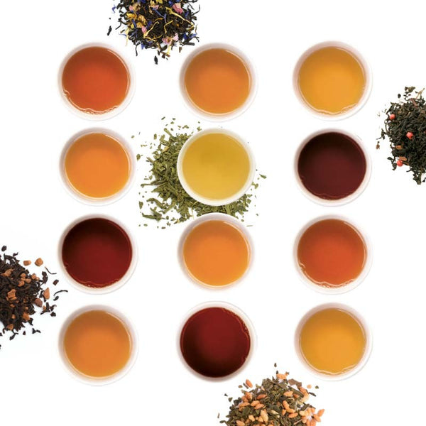 Discovery set of 12 Organic Hospitality teas